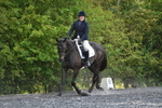 WJ5_9916