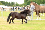 SBM_03505