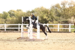 SBM_000626