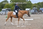 BPP_6841
