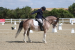 SBM_020943