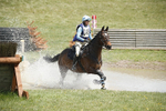 BVHT 140517  IXC -573
