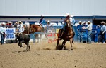3HRodeo8-11-25_PRCASteer_05677_