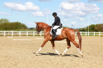 SBM_000329