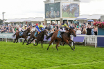 230824-Race 7-Treasure Time-8567