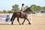 SBM_12285