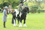 SBM_67563