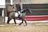BPP_8353