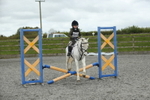 Show Jumping portfolio