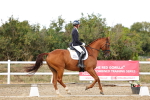 SBM_007535