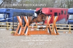 BPP_1307