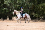 WJ6_9242
