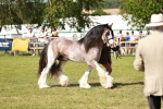 SBM_08875