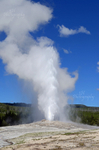 Old Faithful