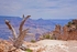 Grand Canyon Rim Trail 12 x 18