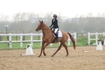 SBM_003338