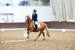 SBM_000964