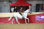 SBM_02992