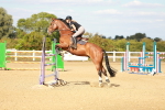 SBM_007709