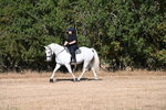 WJ6_6998