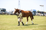 SBM_15191