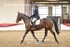 BPP_8519