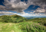 North Hill & Willowherb