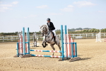 SBM_000342