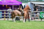 SBM_05851
