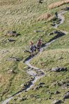 Old County Tops-13