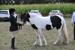 WJ6_6646