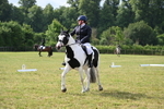 WJ6_5319