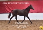 JAC_4903
