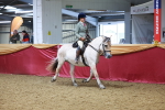 SBM_06441