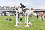 BPP_0593