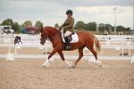 SBM_06088