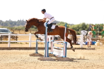 SBM_000953