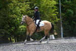 WJ5_0583