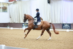 SBM_007777