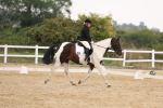 SBM_01794