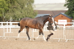 SBM_07759