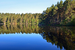 Loch Garten, Highland