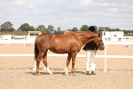 SBM_15357