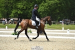 104-GALAKIS_DE_L'OCEAN-Harry_Meade-WEDTrotUp+DR portfolio