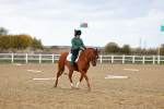 SBM_002621
