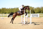 SBM_003223