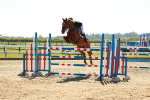 SBM_002041