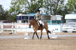 SBM_02167
