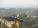 A Foggy Morning on County Road 455 Lake Co Florida