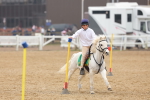 SBM_004349